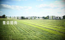 “處州蓮姻 ?愛在蓮都” 婚俗改革集體婚典