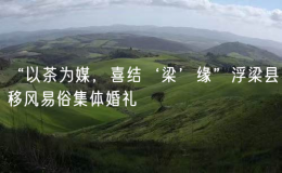 “以茶為媒，喜結(jié)‘梁’緣”浮梁縣移風(fēng)易俗集體婚禮
