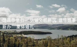 瑞昌市舉行“弘揚(yáng)文明新風(fēng) 倡導(dǎo)婚事新辦”集體婚禮
