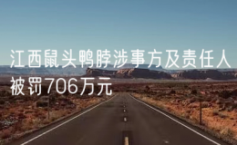 江西鼠頭鴨脖涉事方及責(zé)任人被罰706萬元