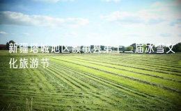 新疆塔城地區(qū)額敏縣第十二屆冰雪文化旅游節(jié)