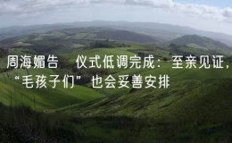 周海媚告別儀式低調(diào)完成：至親見(jiàn)證，“毛孩子們”也會(huì)妥善安排