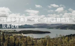 《新華字典》“玩”字的注釋組詞“玩弄女性”