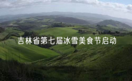 吉林省第七屆冰雪美食節(jié)啟動