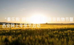 “秦樂購 迎新春”新春年貨購物節(jié)暨西安網(wǎng)上年貨節(jié)啟動