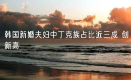 韓國新婚夫婦中丁克族占比近三成 創(chuàng)新高
