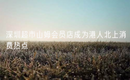 深圳超市山姆會(huì)員店成為港人北上消費(fèi)熱點(diǎn)