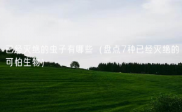 已經(jīng)滅絕的蟲子有哪些（盤點(diǎn)7種已經(jīng)滅絕的可怕生物）