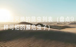 已經(jīng)滅絕的昆蟲列表（盤點(diǎn)9種可怕的瀕危蟲子）