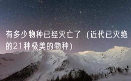 有多少物種已經(jīng)滅亡了（近代已滅絕的21種極美的物種）