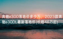奔馳e300落地價多少萬，2023款奔馳e300L最新落地價(價格46萬起)