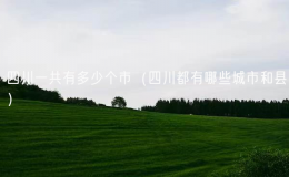 四川一共有多少個(gè)市（四川都有哪些城市和縣）