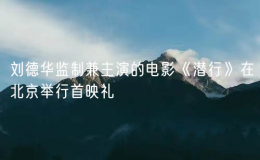 劉德華監(jiān)制兼主演的電影《潛行》在北京舉行首映禮