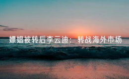 嫖娼被轉(zhuǎn)后李云迪：轉(zhuǎn)戰(zhàn)海外市場