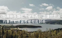 鄭爽接連爆出代孕棄養(yǎng)、涉嫌陰陽合約事件和逃漏稅被徹底封殺
