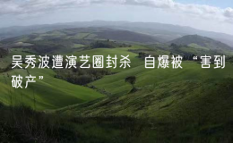 吳秀波遭演藝圈封殺  自爆被“害到破產(chǎn)”