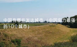 中國有哪些發(fā)達城市（中國實力最強的10個城市）