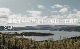 一線城市中國(guó)有幾個(gè)（我國(guó)一線城市名單）