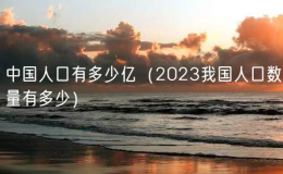 中國(guó)人口有多少億（2023我國(guó)人口數(shù)量有多少）