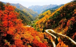 巴中旅游景點(diǎn)大全（巴中十大景區(qū)排行榜）