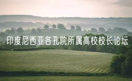 第二屆印度尼西亞各孔院所屬高校校長(zhǎng)論壇舉行