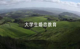 高校發(fā)揮大學(xué)生婚戀教育主陣地作用