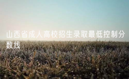 2024年山西省成人高校招生錄取最低控制分?jǐn)?shù)線公布