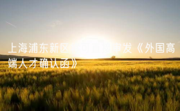 上海浦東新區(qū)將可直接審發(fā)《外國高端人才確認函》