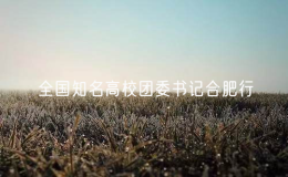 全國(guó)知名高校團(tuán)委書(shū)記合肥行