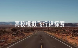 全國高校模擬飛行錦標(biāo)賽舉辦