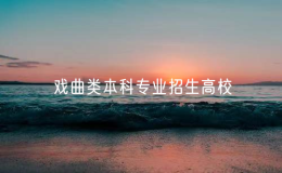 2025年戲曲類本科專業(yè)招生高校有11所