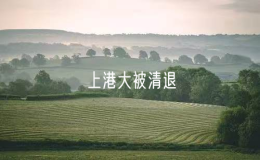 花70萬上港大被清退
