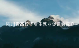 四川省高校畢業(yè)生就業(yè)促進(jìn)會成立