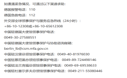 中國駐德國使館提醒在德中國公民注意安全