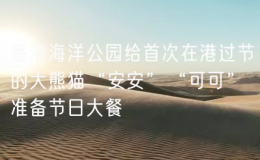 香港海洋公園給首次在港過節(jié)的大熊貓“安安”“可可”準備節(jié)日大餐