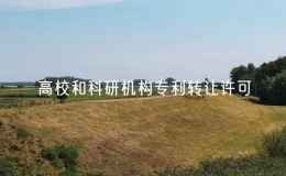 1-11月全國(guó)高校和科研機(jī)構(gòu)專(zhuān)利轉(zhuǎn)讓許可同比增長(zhǎng)19.1%