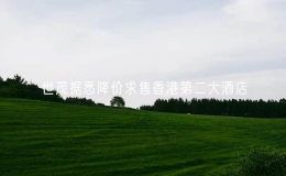 世茂據(jù)悉降價求售香港第二大酒店
