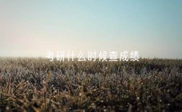 考研什么時(shí)候查成績