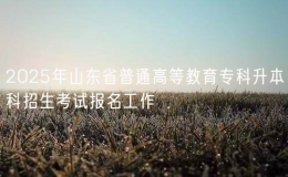 2025年山東省普通高等教育?？粕究普猩荚噲竺ぷ?></i>
        <p>2025年山東省普通高等教育?？粕究普猩荚噲竺ぷ?/p>
        <font>關于做好山東省2025年普通高等教育?？粕究普猩荚噲竺ぷ鞯耐ㄖ斦锌肌?024〕123號各市教育招生考試機構，有關高等學校：根據(jù)《山東省教育廳 山東省人民</font><span><strong class=