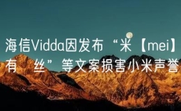 海信Vidda因發(fā)布“米【mei】有屌絲”等文案損害小米聲譽(yù)
