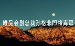 唯品會副總裁孫格非即將離職