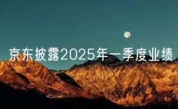 京東披露2025年一季度業(yè)績