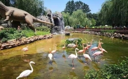 全球十大最著名的動(dòng)物園，全球最大的動(dòng)物園在哪里