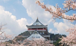 日本的國土面積有多大，日本國土面積多少平方公里
