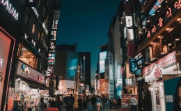 韓國(guó)國(guó)土面積有多大(韓國(guó)國(guó)土總面積)