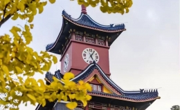 多少分才能上四川大學？2024年四川大學全國高考錄取分數(shù)線