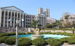 韓國大學(xué)排名一覽表(韓國大學(xué)2022最新排名)
