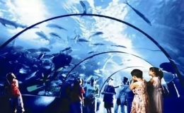 中國十大海洋館排名(2023中國十大海洋公園排行榜)