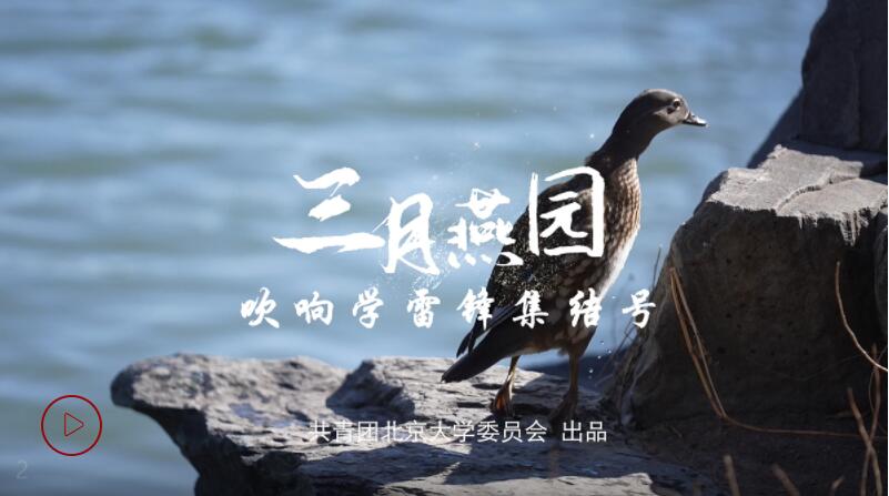 QQ截圖20220312171912.jpg