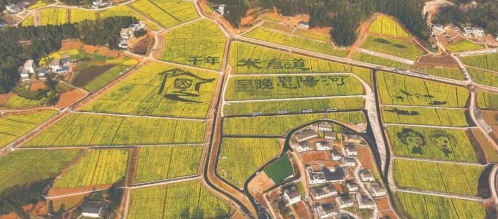 QQ截圖20220508110427.jpg